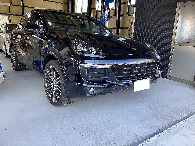 �|���V�F�J�C�G�����ɂ̗l�q