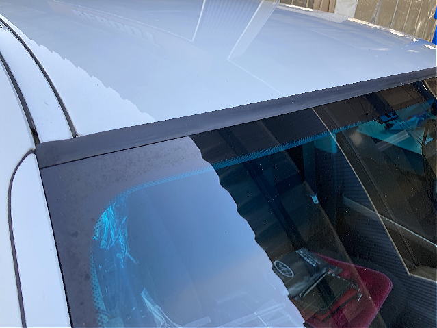 ���A�̑���肻��1