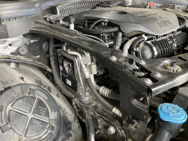 ���A�̑���肻��1