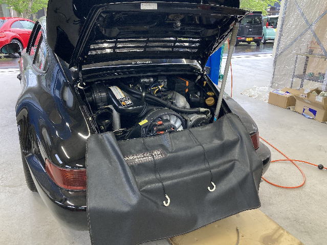 ���A�̑���肻��1