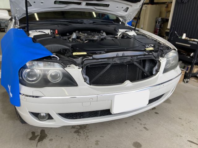 �|���V�F�J�C�G�����ɂ̗l�q