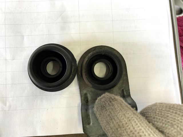 �|���V�F�J�C�G�����ɂ̗l�q