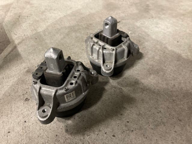 �|���V�F�J�C�G�����ɂ̗l�q