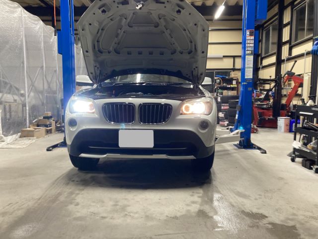 �|���V�F�J�C�G�����ɂ̗l�q